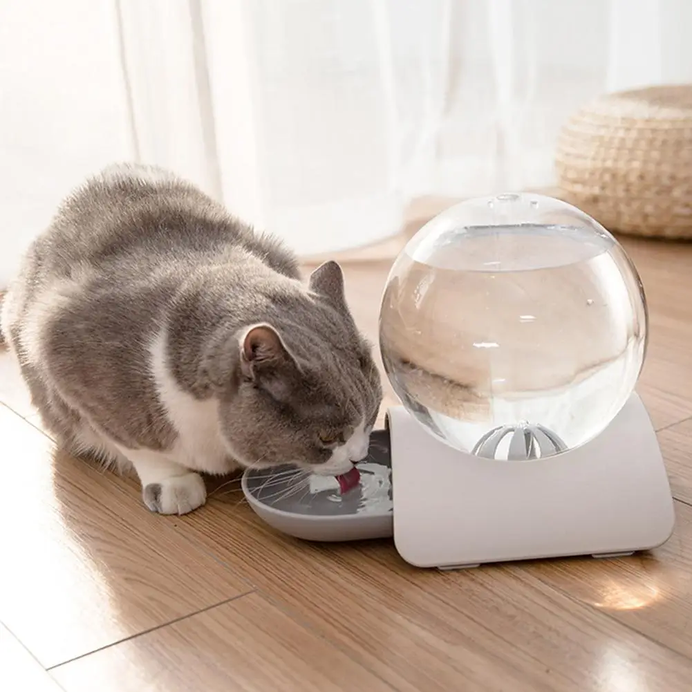 2.8l Pets Dog Cats Automatic Water Feeder Bubble Water Feeder Drinking Bowl transparent Water Dispenser Fountain Bottle For Cats