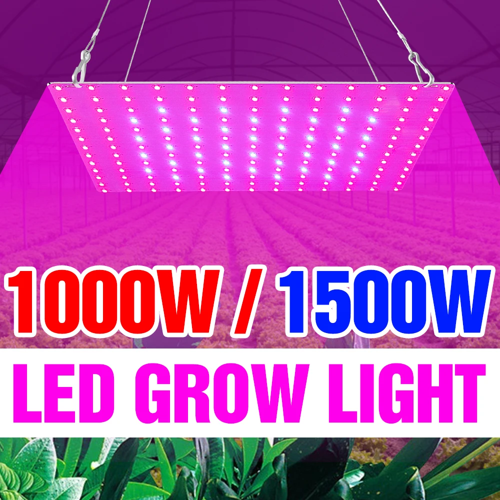 

Full Spectrum 1000W Light LED Plant Lamp 220V Phyto Grow Tent Fitolampy 1500W Quantum Board Greenhouse Lighting Vegs Flower Seed