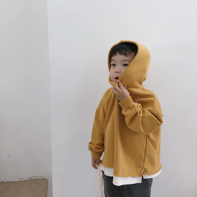 Осенние модные толстовки с капюшоном длинными рукавами для мальчиков