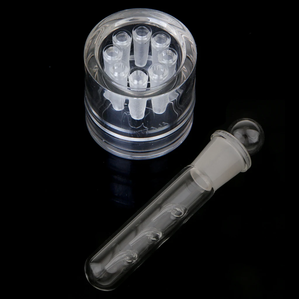 

Crystal Glass Planaria Trap Worm Catch Pen Shrimp Leech Catcher 3 & 8 Holes