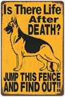 Металлические жестяные знаки для собак, ВИНТАЖНЫЙ ПЛАКАТ, Остерегайтесь собаки, ретро жестяные пластины, настенные наклейки для сада, украшение для дома или двери