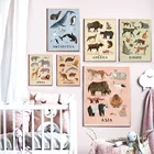 Серия антарктических животных, скандинавский арт-Декор, картина для детской комнаты, Настенный декор, качественная Картина на холсте, Постер для домашнего декора A885
