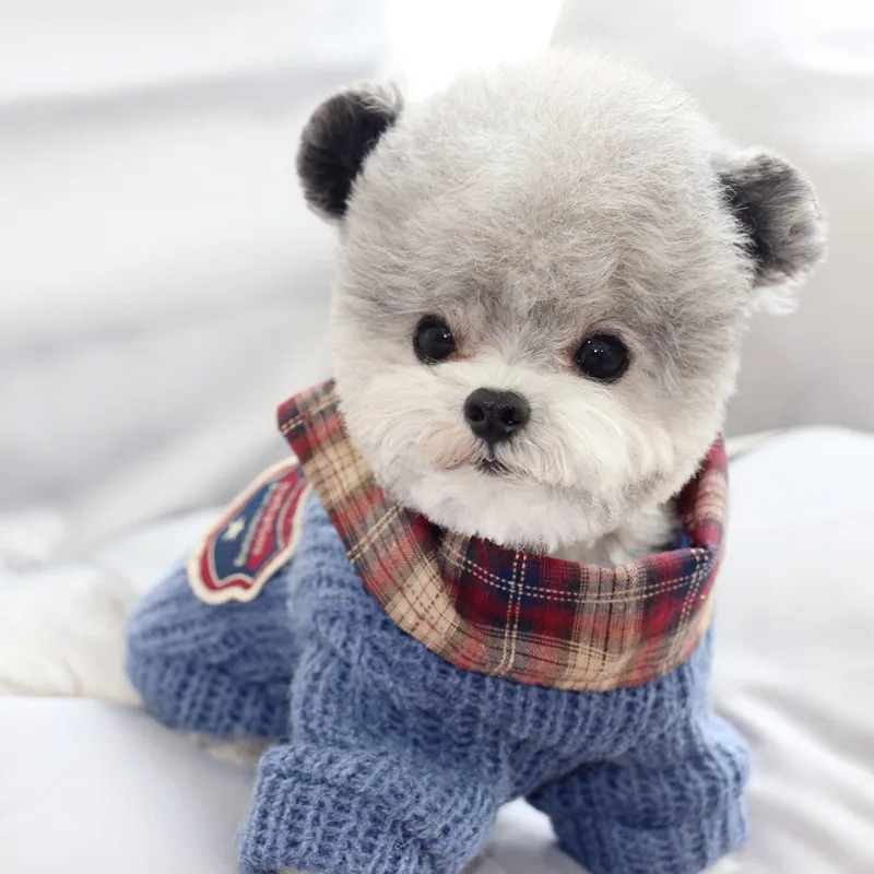 Модная одежда для собак зимняя на весну осень домашних питомцев маленьких и