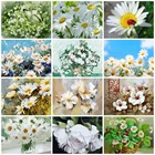 HUACAN картина по номеру цветок DIY Рисование холст ручная роспись картины по номерам украшение дома