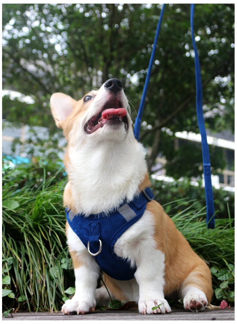 

Dog traction rope walking dog small and medium-sized dog vest type corgi puppies Bomei Teddy supplies chest strap dog chain