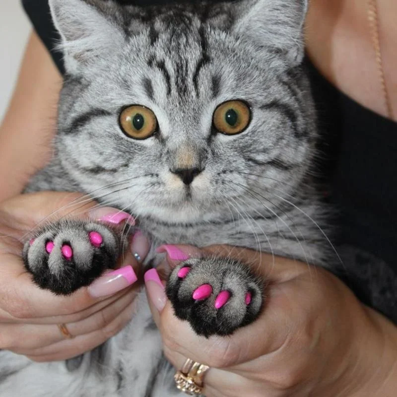 Милые 20 шт кошачьи накладки для ногтей Pet коготь колпачки лап клей защита