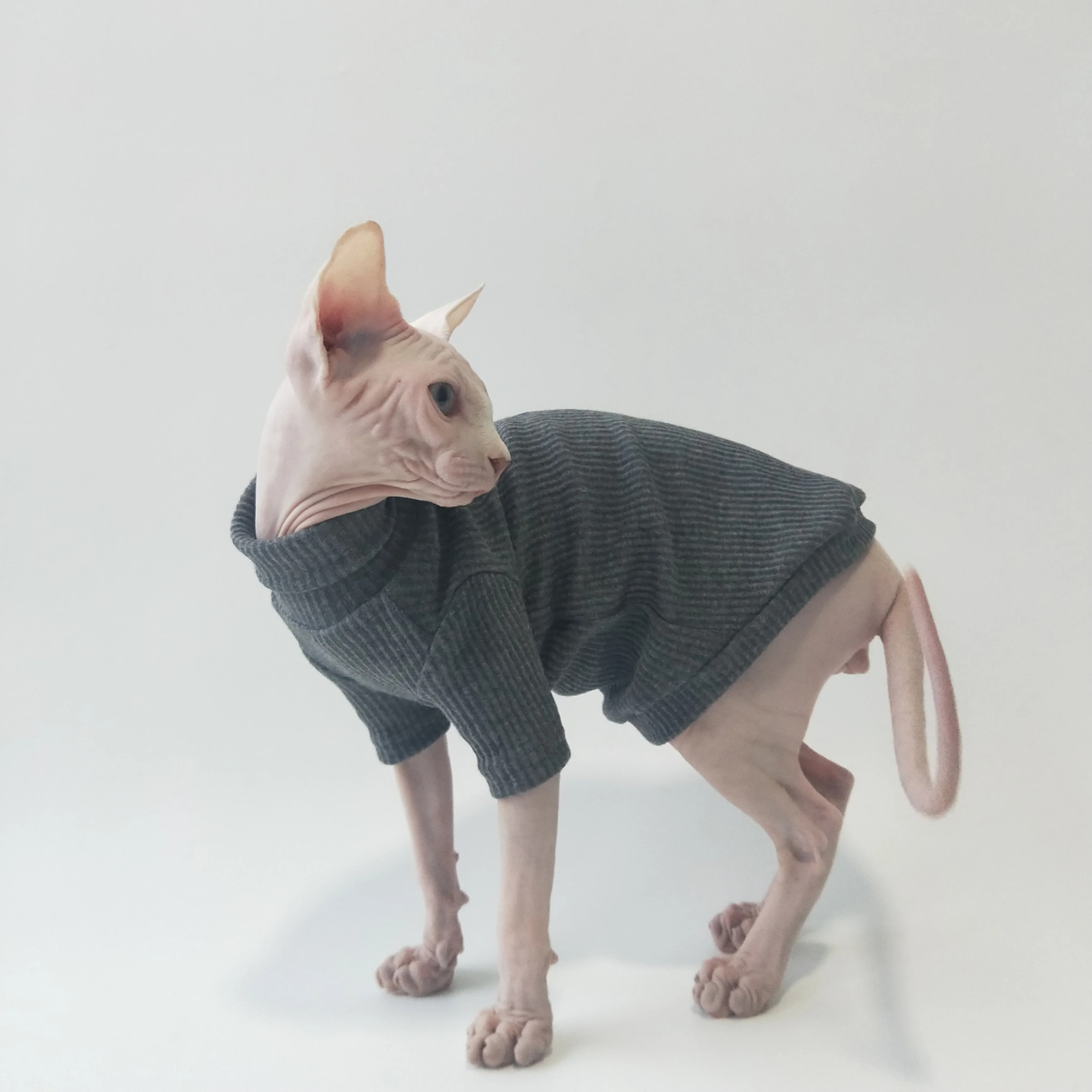 

Одежда для кошек Сфинкс безволосовая кошка Devon Cat осенне-зимняя хлопковая теплая трикотажная одежда с высоким воротником