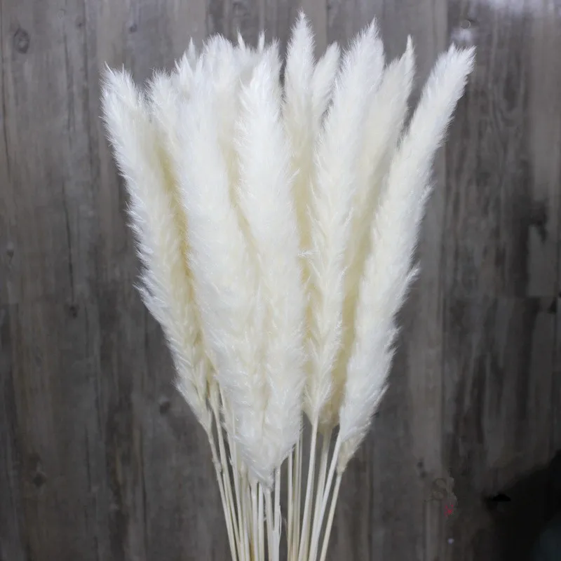 

30pcs Natural Dried Pampas Grass Reed Dried Flowers Natural Phragmites Communis Wedding Flower Bunch Home Decor