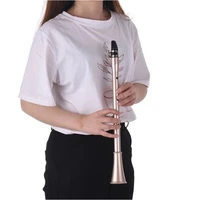 pocket saxophone abs sax mini portable saxophone little saxophone with carrying bag woodwind instrument