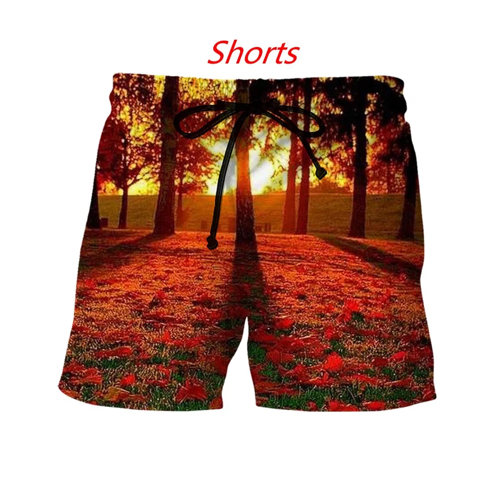 Футболка/Толстовка/худи/штаны мужские с 3D-принтом красивая забавная крутая