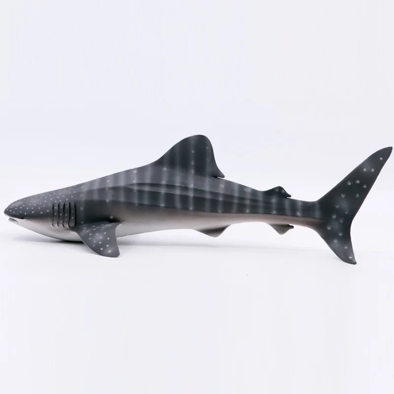 

CollectA Wild Animals Ocean Whale Shark PVC Figure Plastic Toy Model for Boys and Girls #88453