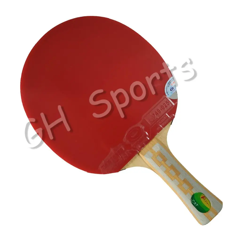 Pro Combo Racket Palio CAT Table Tennis Blade with Yinhe JUPITER II and 61second Lightning DS | Спорт и развлечения