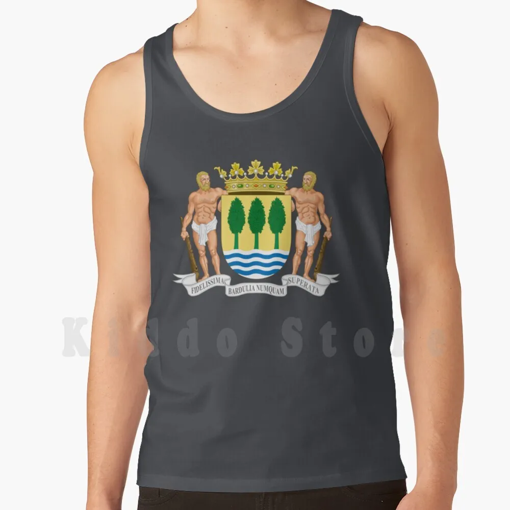 

Coat Of Arms Of Gipuzkoa Tank Tops Vest Sleeveless Gipuzkoa Gipuzkoa Coat Of Arms Euzkadi Euskadi Vasco Basque