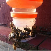 1pcs plastic beehive beekeeper bee feeder water drink feeding fountains beekeeping apiculture tool m0p9