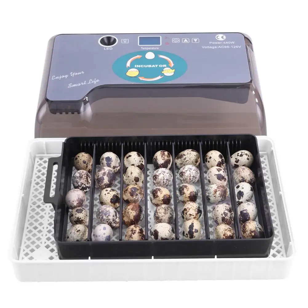 

12 яиц, регулируемый лоток для яиц, практичный полностью автоматический инкубатор для птицы, набор для инкубации уток, перепелов, птиц, яиц, ф...