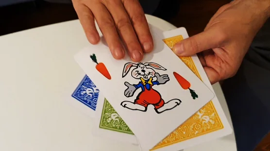 

2020 Rabbit On The Rainbow by Juan Pablo- Magic Tricks