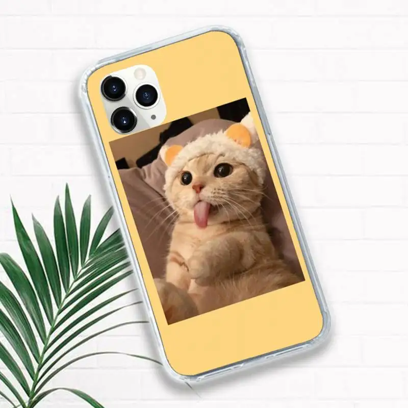

Aesthetic Cute Animal Cat Phone Case Transparent for iPhone 11 12 mini pro XS MAX 8 7 6 6S Plus X 5S SE 2020 XR