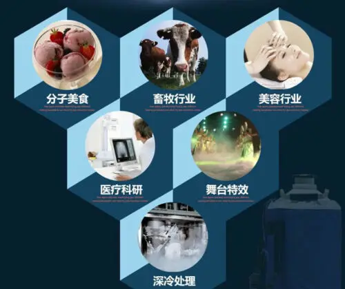 Высококачественный резервуар для жидкого азота 10 л криогенный контейнер LN2