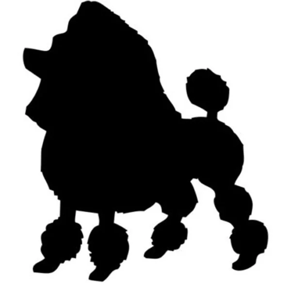 Окно Стикеры s получили мини Игрушечный Пудель с графическим изображением собаки