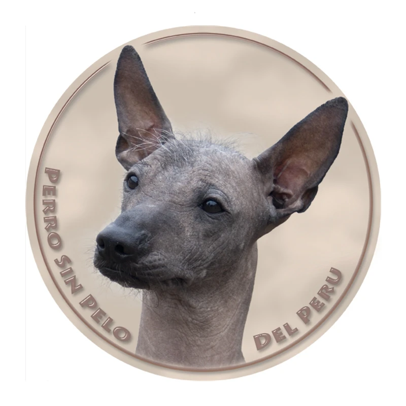 S40349 # различные размеры ПВХ наклейка перуанская безволокнистая искусственная