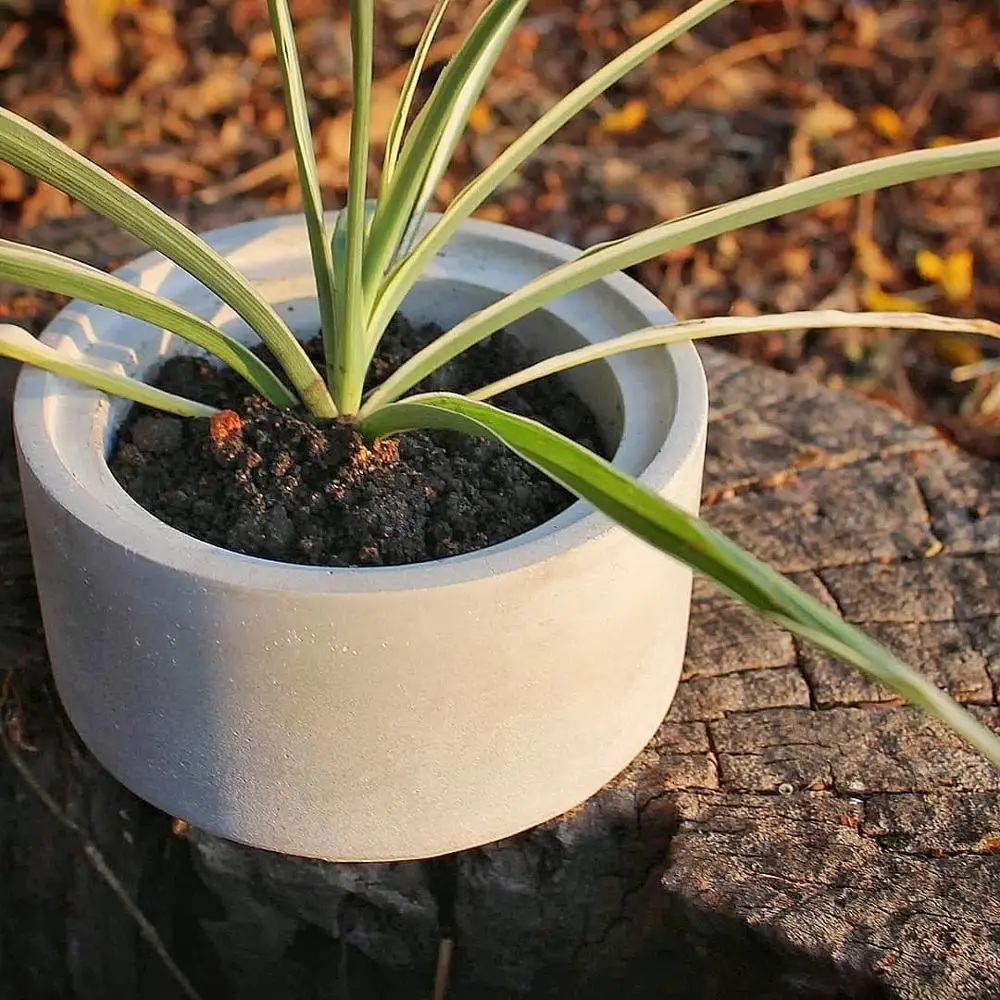 Круглые формы для коробок шестиугольный контейнер ювелирных изделий держатель