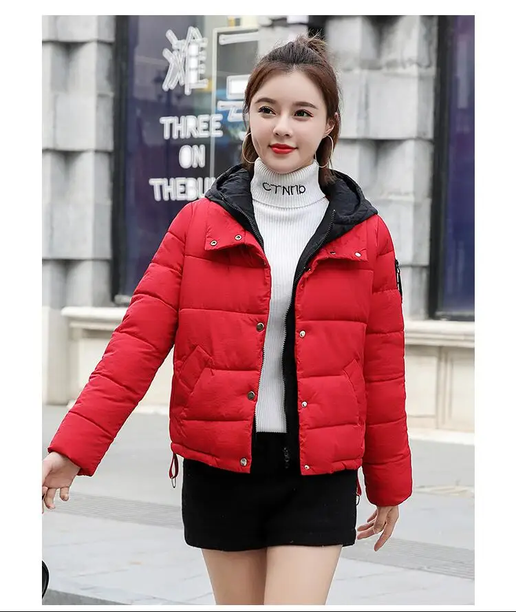 Veste d'hiver manteau femmes 2019 coton remburrte Sustans capuche courte парки для женщин тонкие женские |