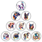 Круглые стеклянные кабошоны для домашних животных, 10 шт., 12161825 мм