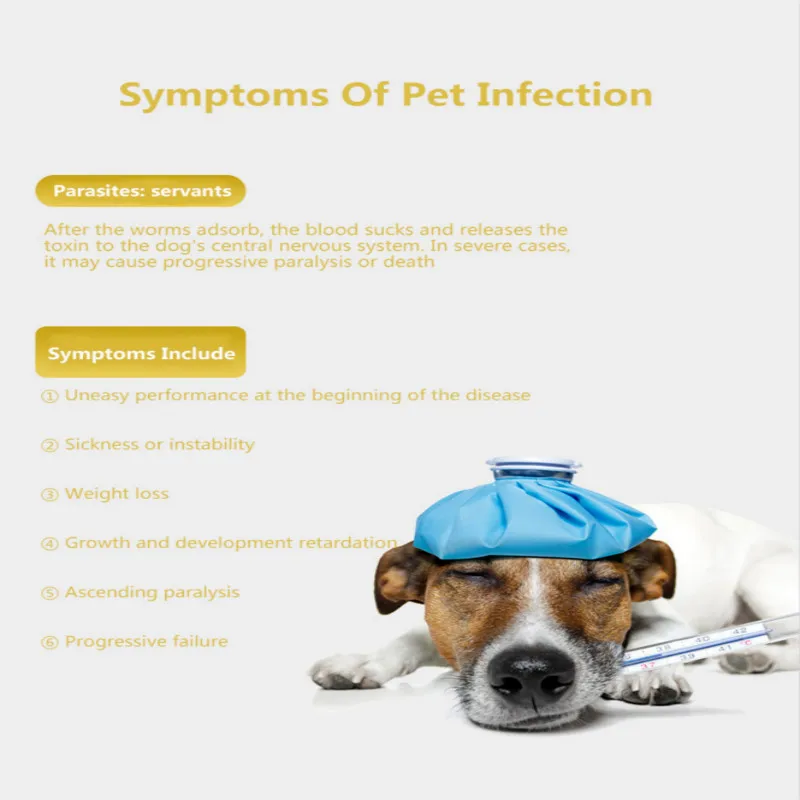 Pet Flea Collar Puppies Dogs Lice Insect Repellent Circle Cat Essential Oil Adjustable Tools | Дом и сад