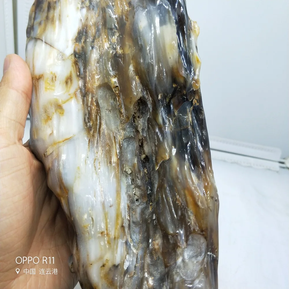 Натуральное остекленное дерево кристалл ископаемое нефритовые камни оскости