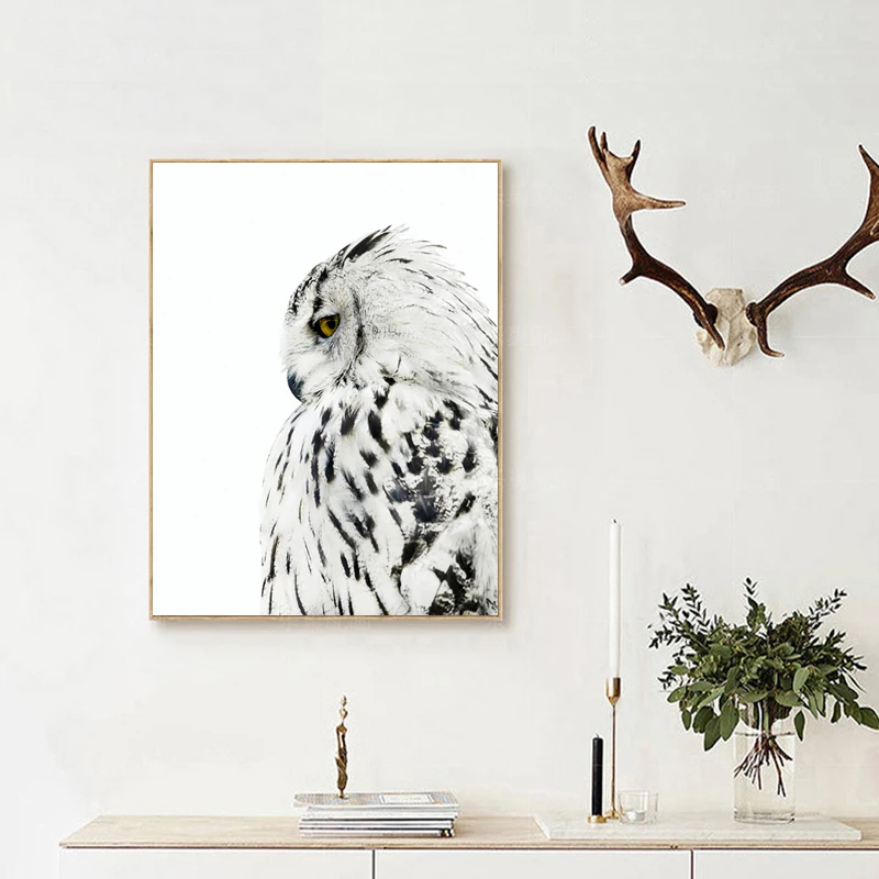 Сова плакаты и принты настенная живопись холст настенные картины для гостиной