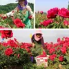 Изображение товара 1
