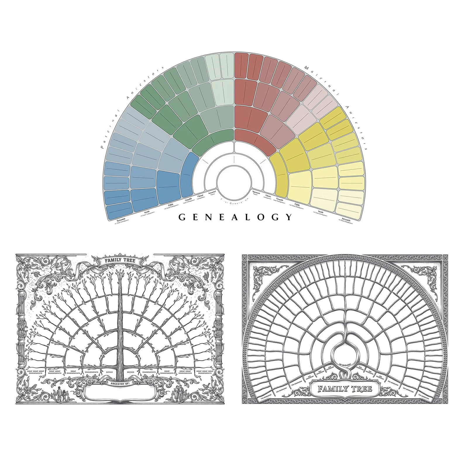 Большая Персонализированная диаграмма семейного дерева Заполняемая форма