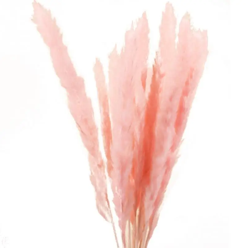 15 шт. прочные сушеные пампасы фрагмиты букет цветов свадебные букеты натуральные