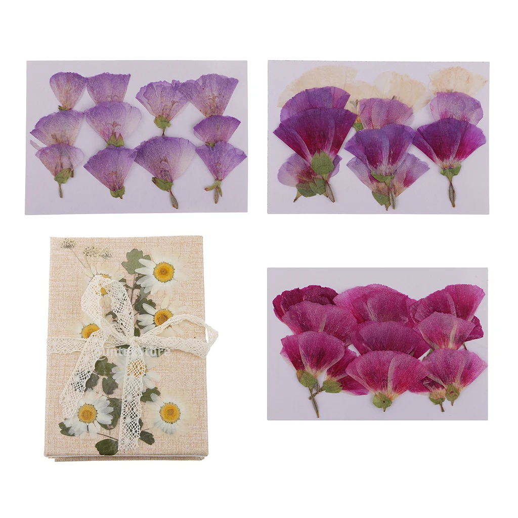 

12x Pressed Real Godetia Flower Dried Flowers DIY Phone Case Scrapbook Craft