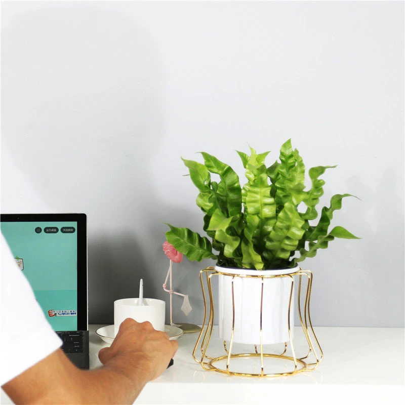 Скандинавский стиль керамические цветочные растения сочный Кактус белый горшок