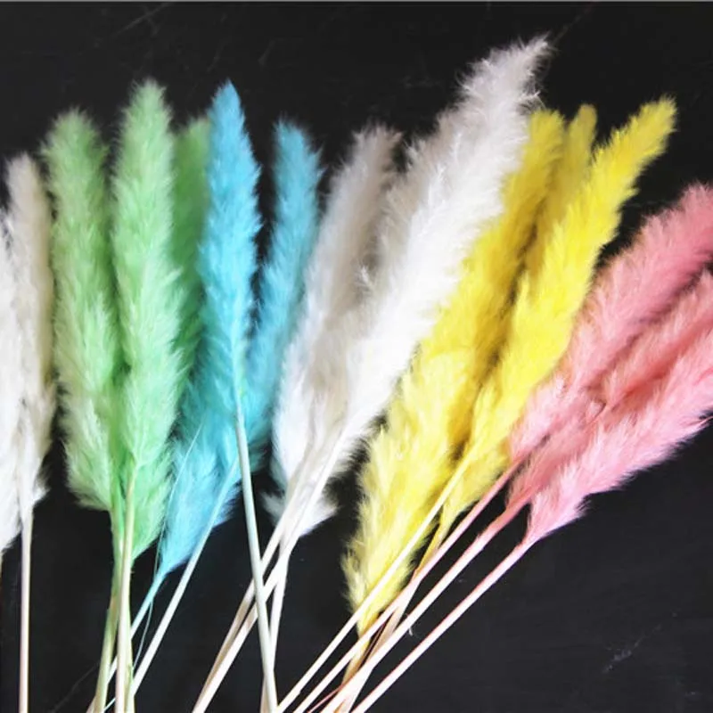 

30PCS/Length 42-50CM Real Dried Natural Grass Reed Flower,Dry Small Bulrush Bouquet,Pampas Reeds,Home Decoration,Wedding Decor