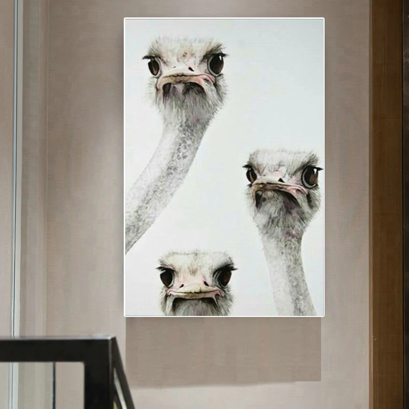 Постеры HD Печать на холсте животные птицы картины стену искусство страусы для