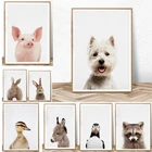 Современное настенное искусство на ферме, милые животные, картины из альпака, кролик, холст, картина, Постер в скандинавском стиле, домашний декор для детской комнаты