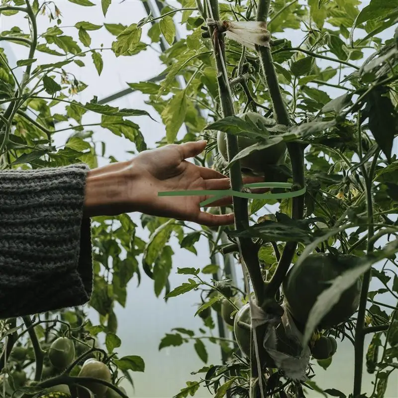 

2 Rolls Flexible Cable Fixing Tie Plant Bundle Wire Gardening Accessories