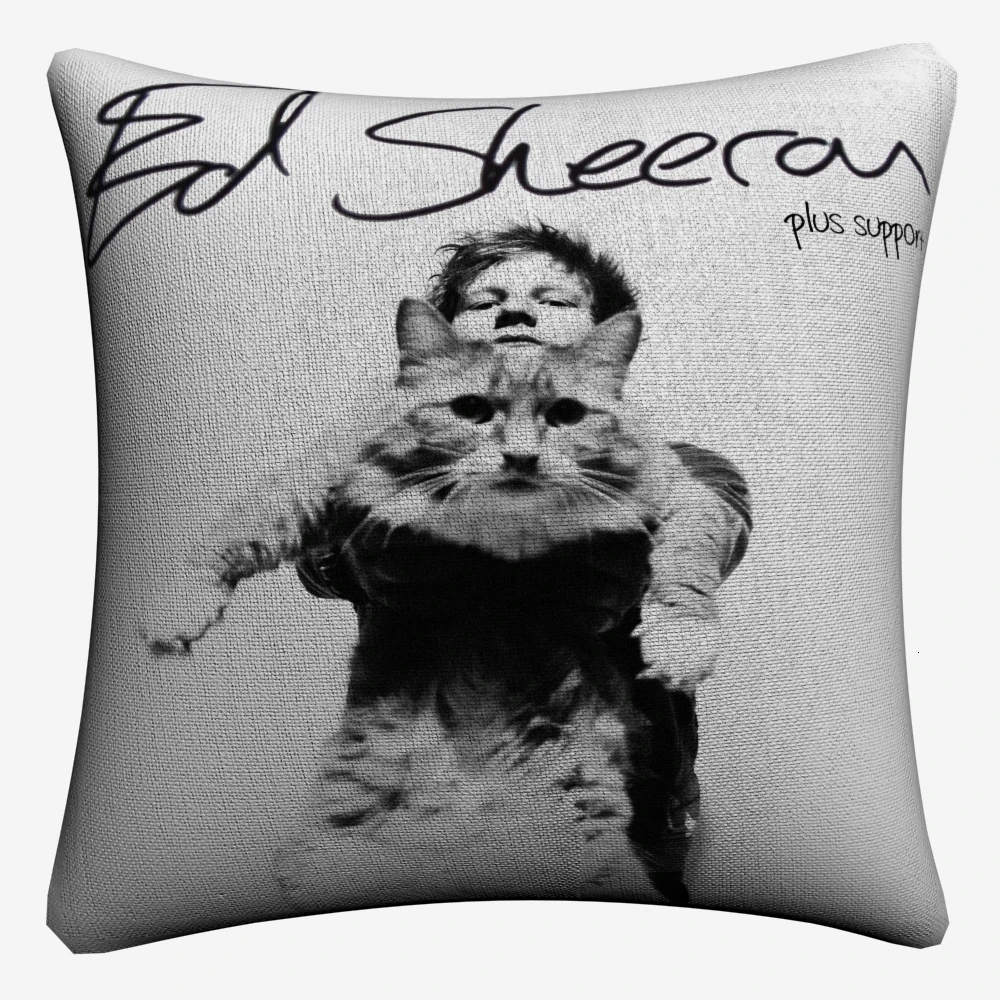 Декоративный чехол для дивана Ed Sheeran с изображением известной певицы 45x45 см