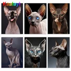 Набор для алмазной живописи 5D, квадратный сфинкс, кошка, алмазная вышивка, картина с животными из стразов, украшение для дома, подарок Zs087