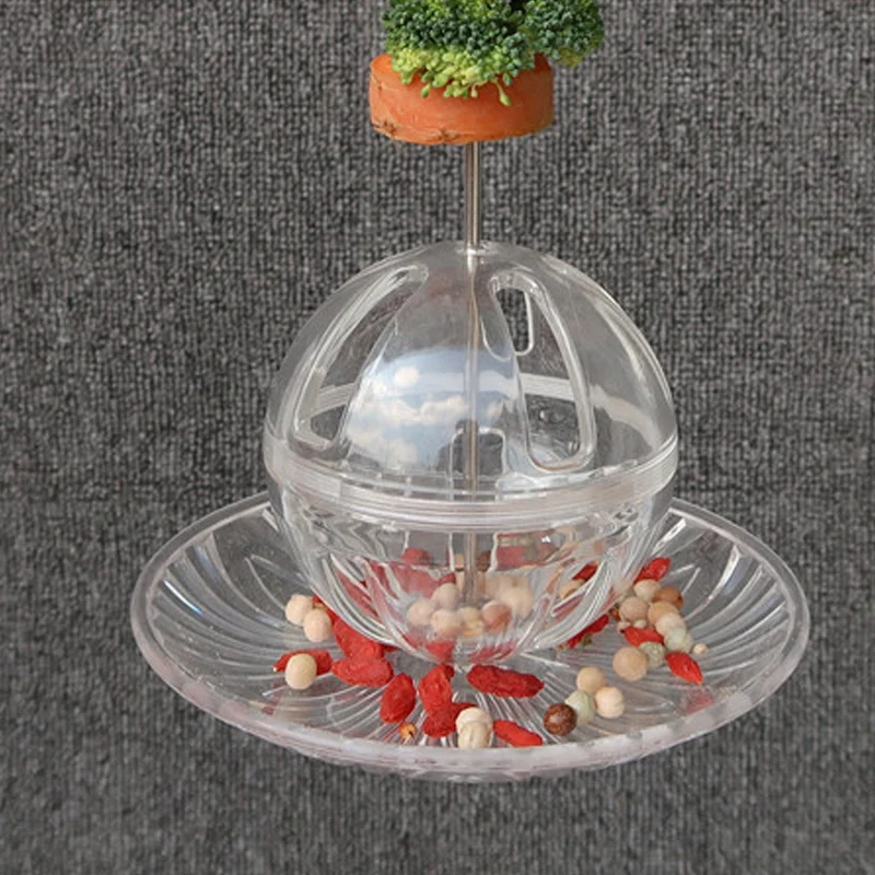 

Parrot Foraging Feeding Bird Feeder Food Holder Hanging Parrot Feeder