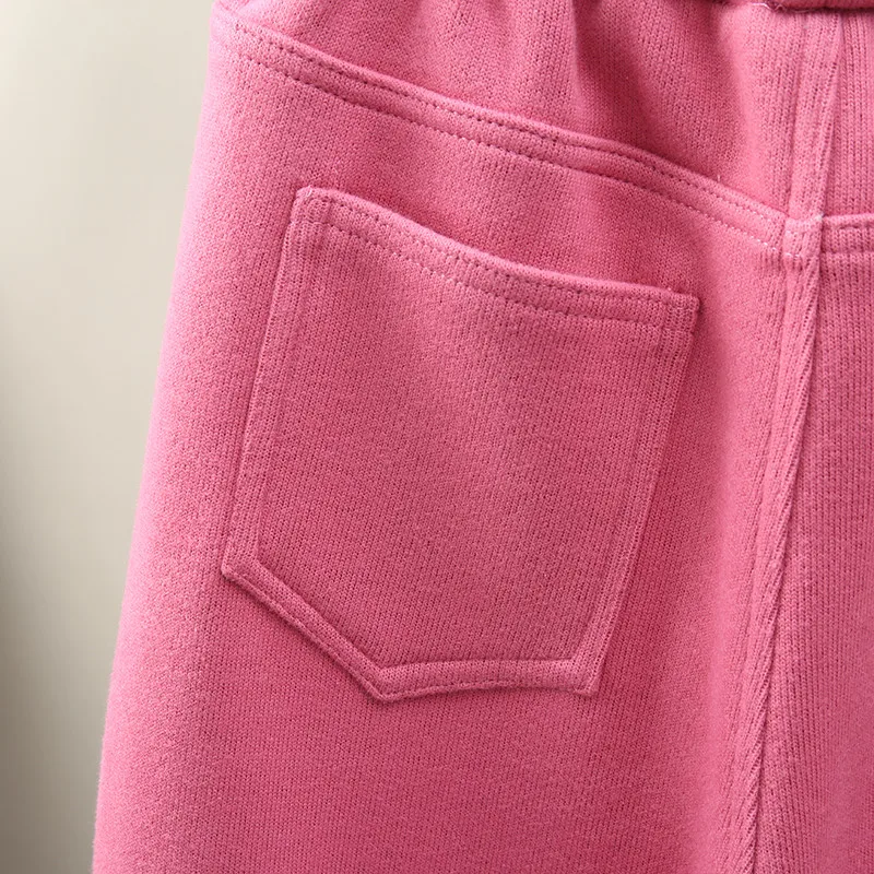 Бархатные утепленные прямые штаны-шаровары для женщин; Pantalon Femme; брюки с эластичной резинкой на талии; сезон осень-зима; повседневные спортивные брюки для женщин; C6033