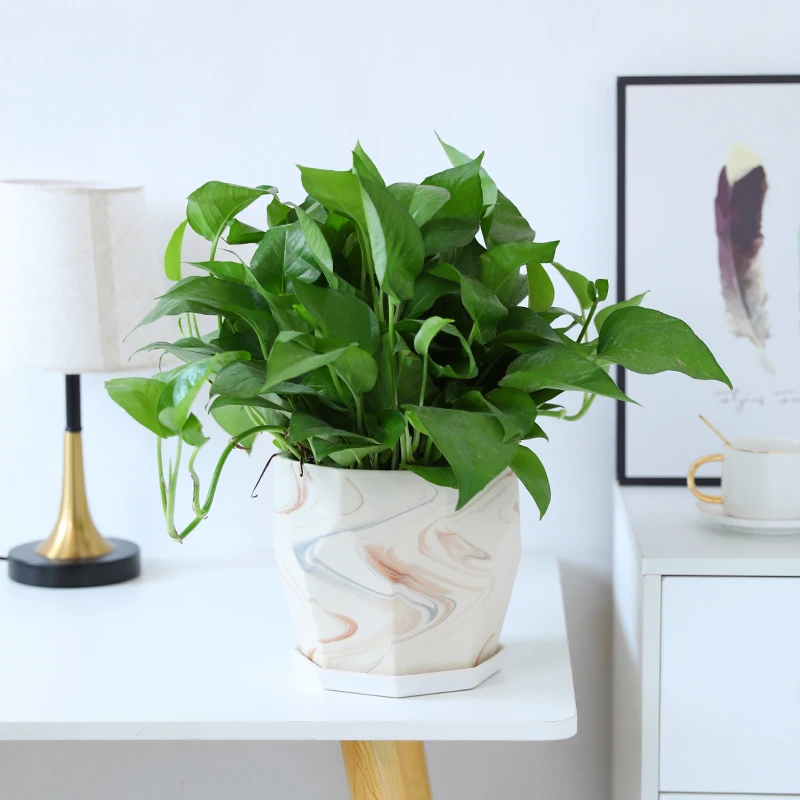 

Beautiful Ceramic White Nordic Flower Pot Modern Minimalist Decor Plants Accessories Terrace Container Maceta Flower Pot EH50FP