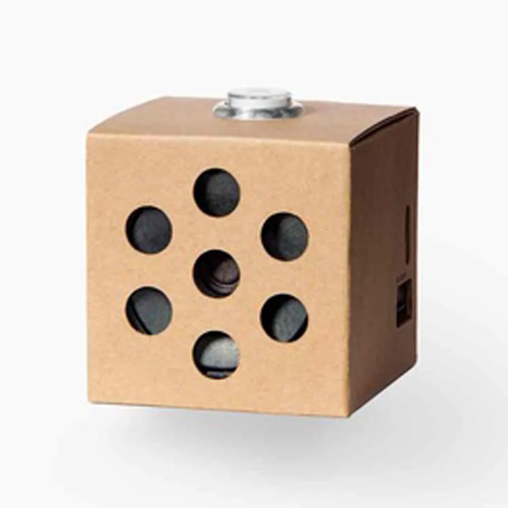 Google AIY Vision Kit Сделай своими руками интеллектуальная камера распознавания