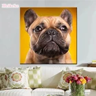 Полноформатная Алмазная вышивка, 5D, алмазная живопись, французский бульдог, собака, вышивка крестиком, 3D Алмазная мозаика, вышивка