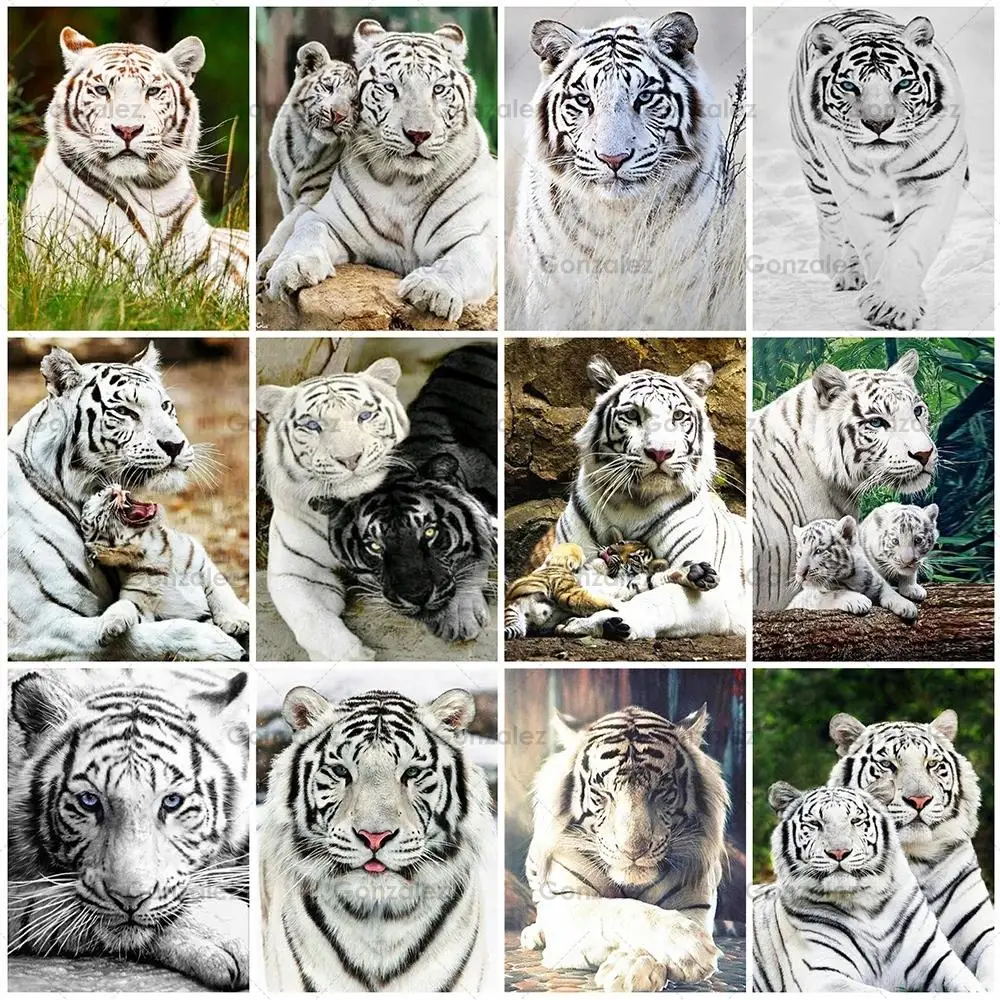 

Creative Diy Diamond Painting White Tigers Embroidery Animals Mosaic Cross Stitch Art Wall Home Decoration Handmade Gifts Crafts