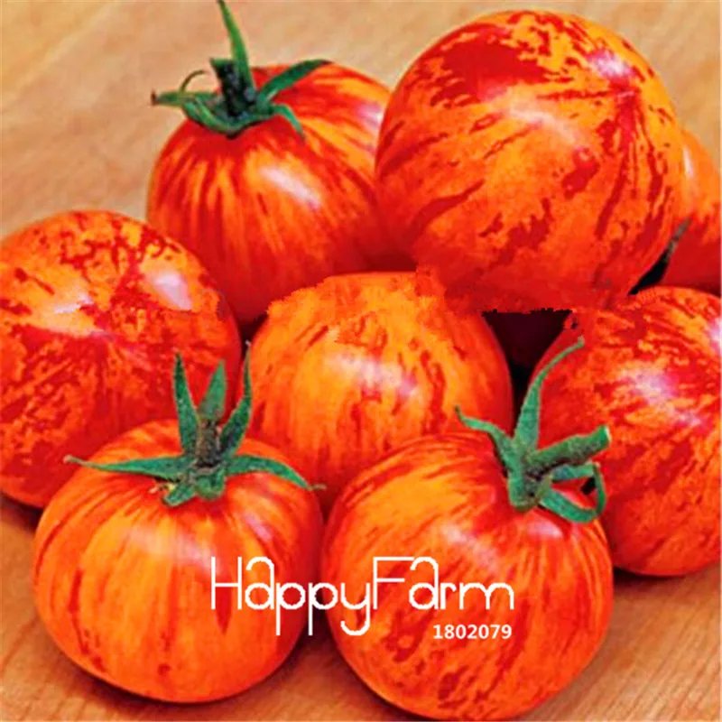 New Fresh 20 Pcs/Lot Rainbow Tomato Plants, bonsai organic vegetable& fruit Plantas,potted plant for home&garden