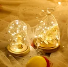 Led кнопочный светильник строка Кнопка контейнер под элемент питания медный провод Светильник гирлянды светодиодные фонари Подарочная коробка Рождественские украшения светильник s