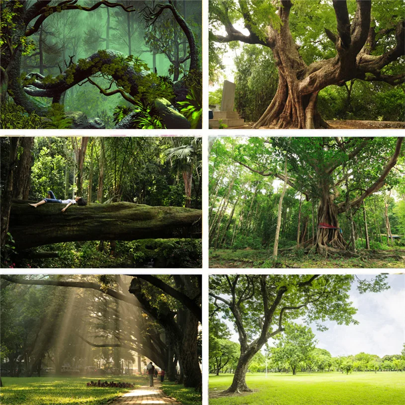 Фон для фотостудии Nitree природный пейзаж лес трава HD узор Виниловый фон ткань